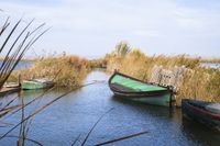 Barcas en la Albufera